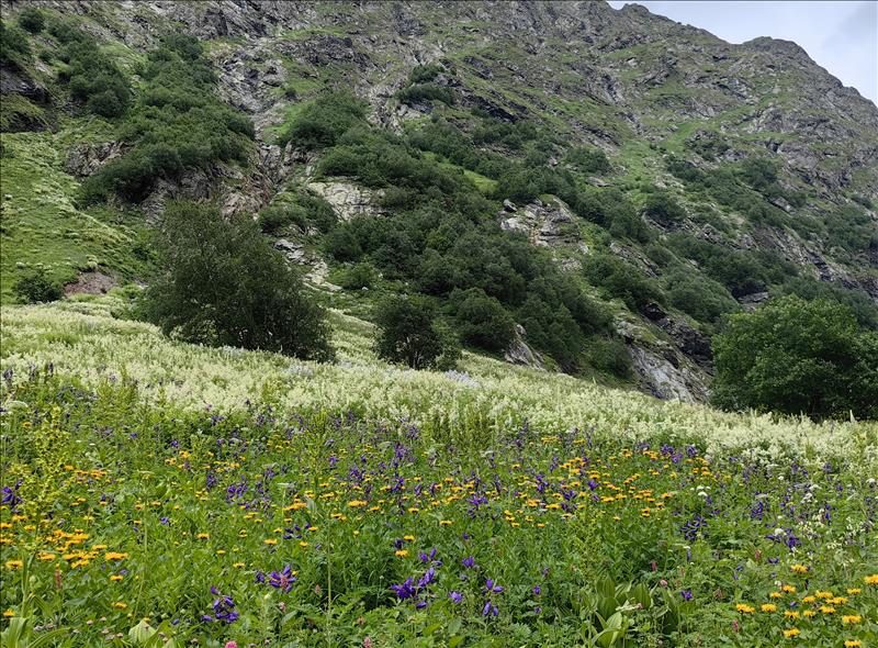 Домбай-Ульген до Чучхурских водопадов — фото 4